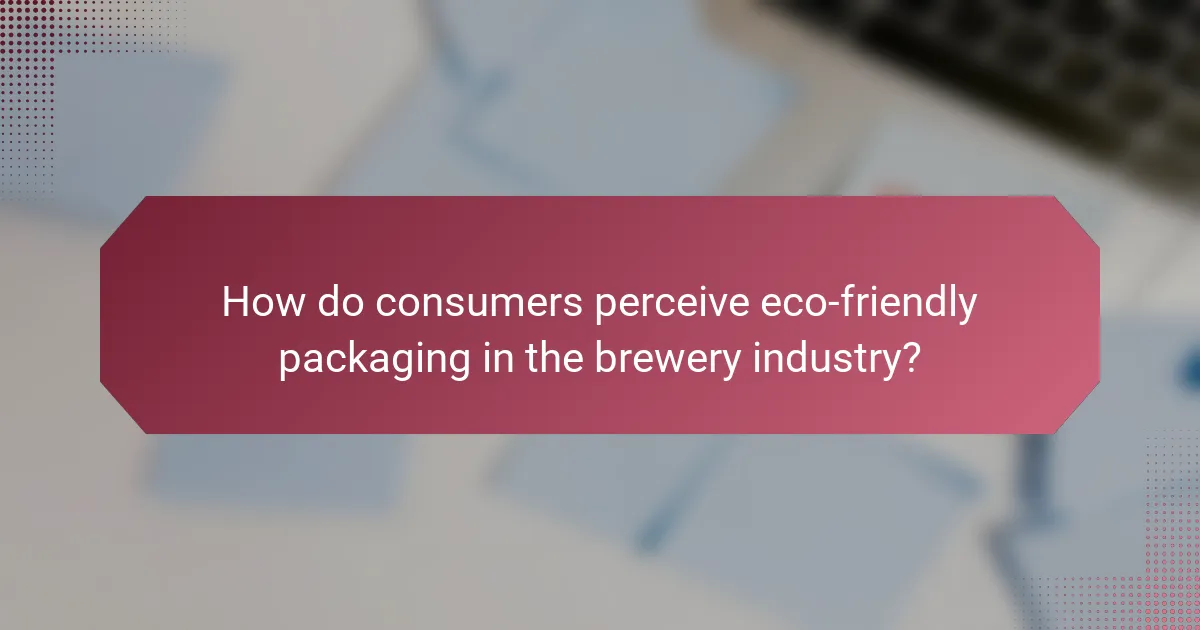 How do consumers perceive eco-friendly packaging in the brewery industry?