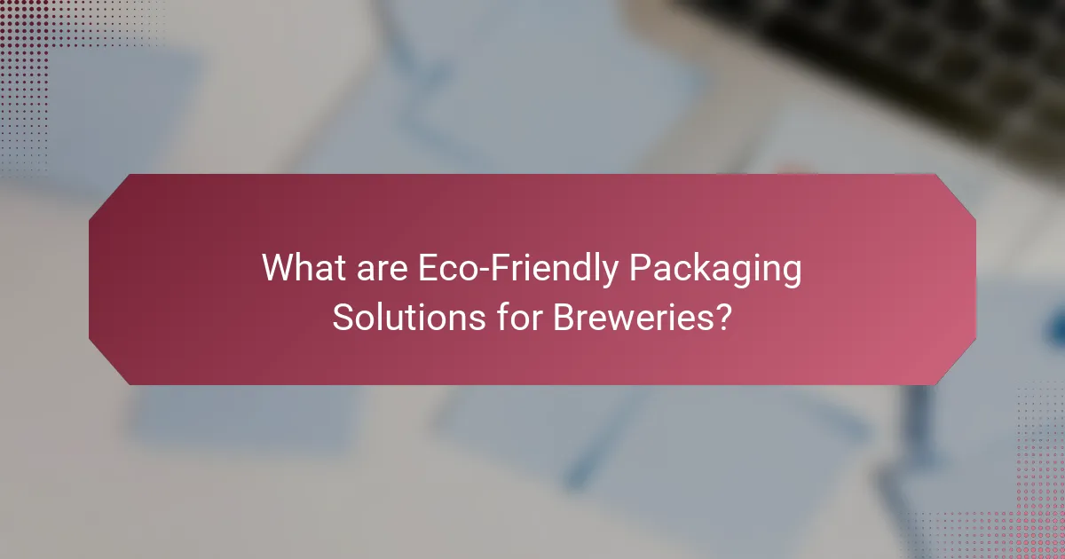 What are Eco-Friendly Packaging Solutions for Breweries?