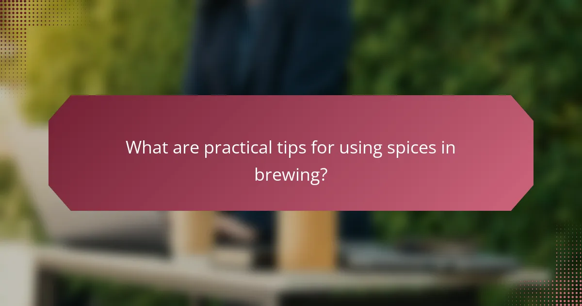 What are practical tips for using spices in brewing?