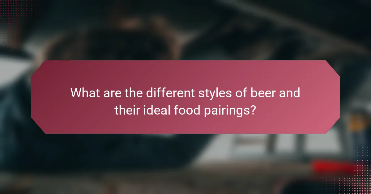 What are the different styles of beer and their ideal food pairings?