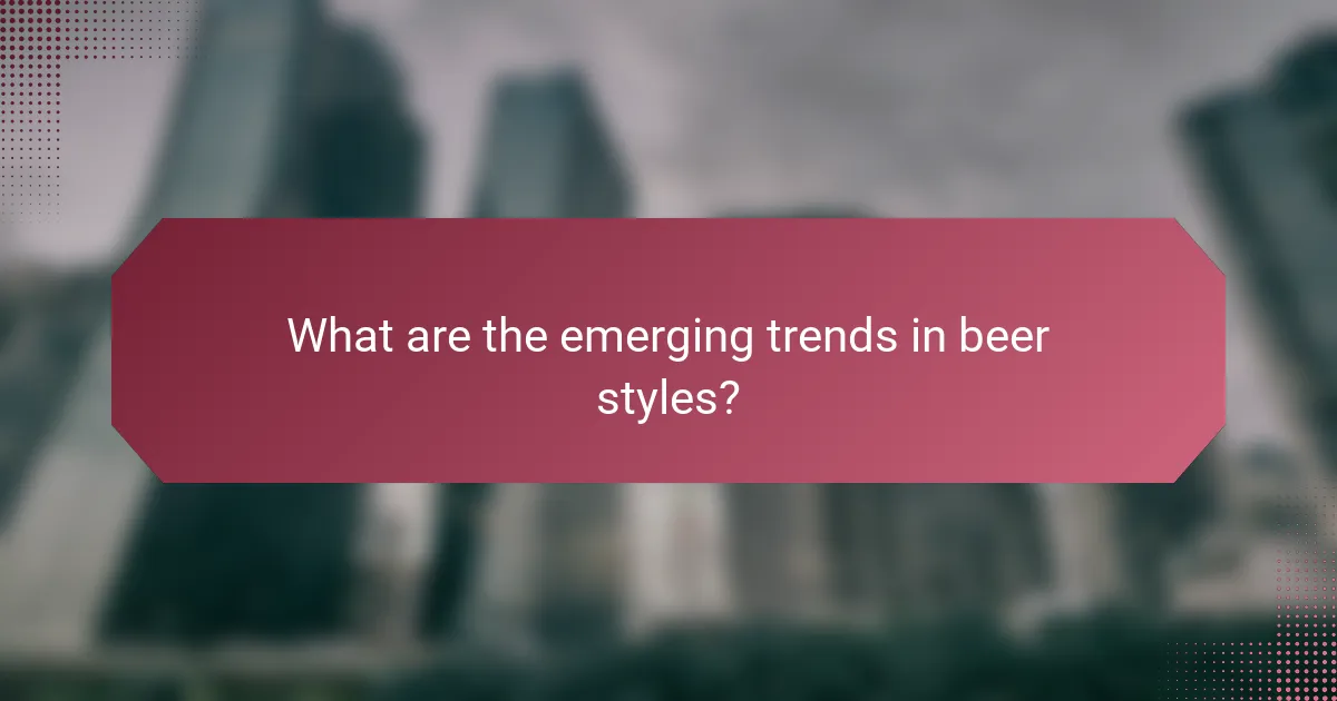 What are the emerging trends in beer styles?