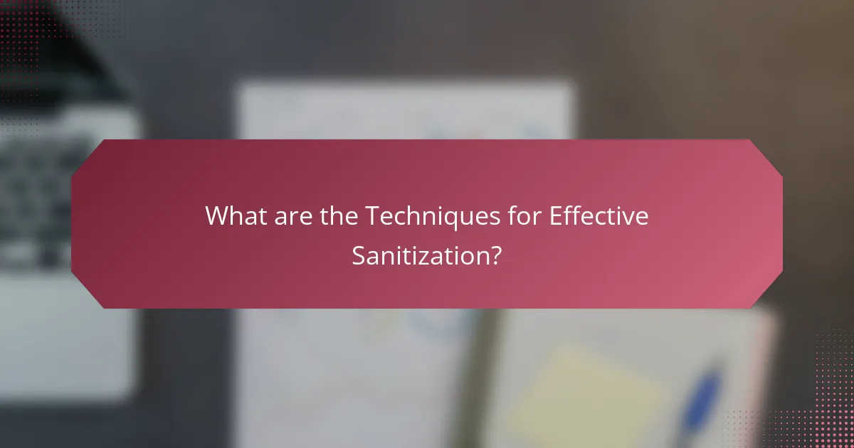 What are the Techniques for Effective Sanitization?