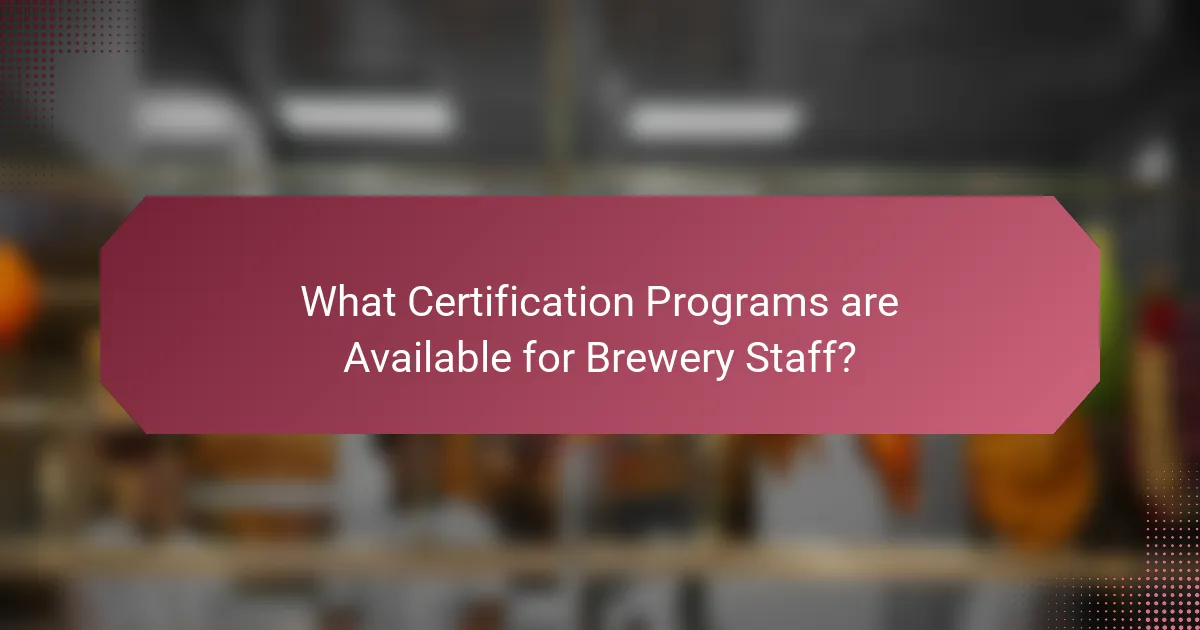 What Certification Programs are Available for Brewery Staff?