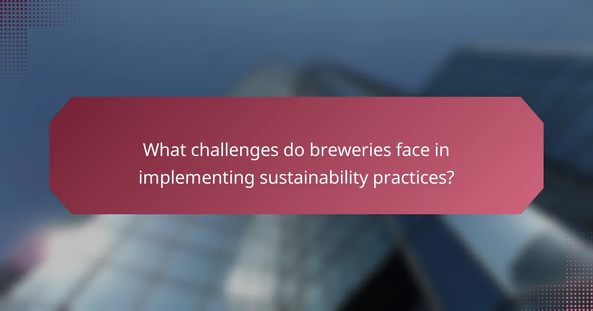 What challenges do breweries face in implementing sustainability practices?