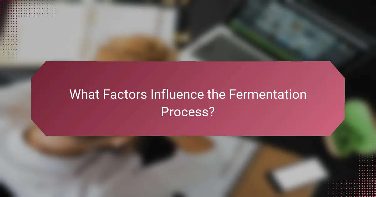 What Factors Influence the Fermentation Process?