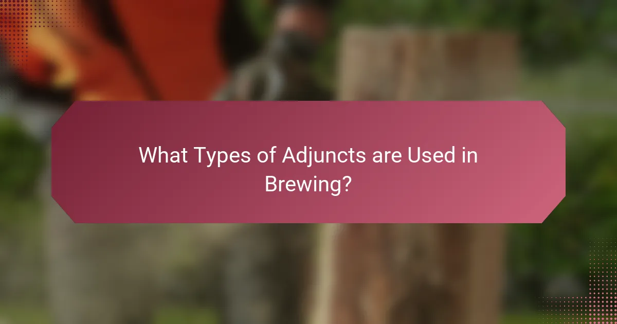 What Types of Adjuncts are Used in Brewing?